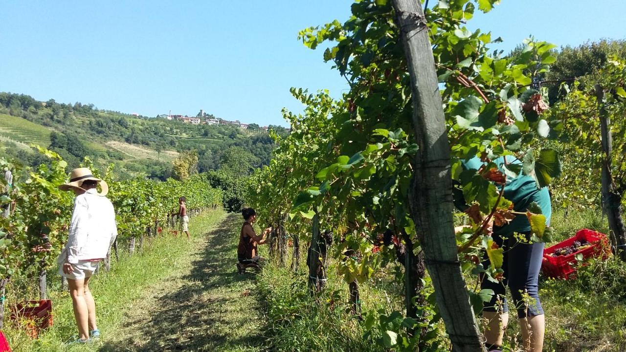 Kojsko Farmstay Kmetija Stekar מראה חיצוני תמונה