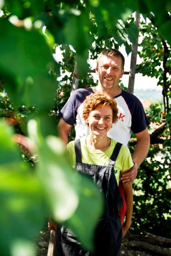 Kojsko Farmstay Kmetija Stekar מראה חיצוני תמונה
